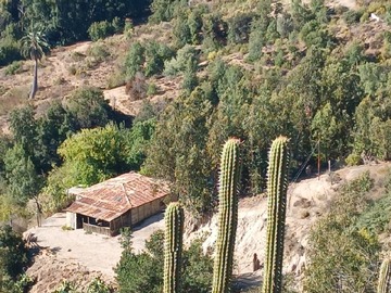 Venta / Terreno Agricola / Olmué