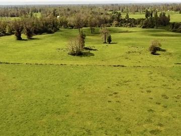 Venta / Terreno Agricola / Osorno