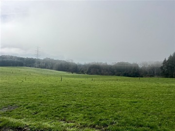 Venta / Terreno Agricola / Osorno