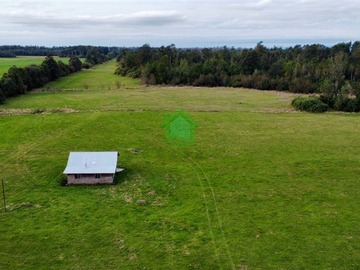 Venta / Terreno Agricola / Osorno