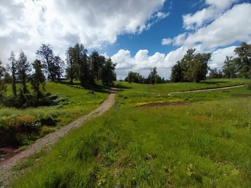 Venta / Terreno Agricola / Osorno