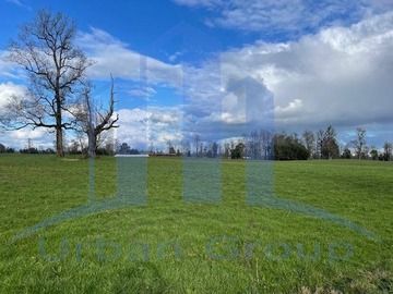 Venta / Terreno Agricola / Osorno
