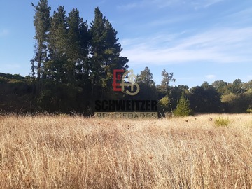 Venta / Terreno Agricola / Osorno