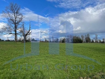 Venta / Terreno Agricola / Osorno