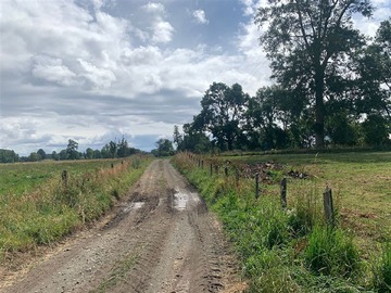 Venta / Terreno Agricola / Osorno