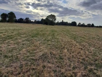 Venta / Terreno Agricola / Osorno