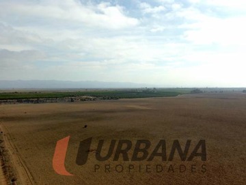 Venta / Terreno Agricola / Ovalle