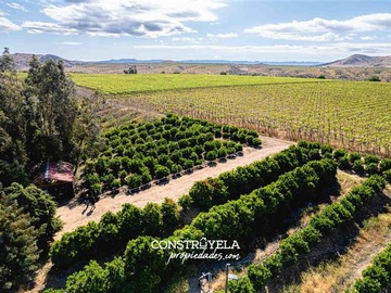 Venta / Terreno Agricola / Ovalle