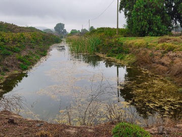 Venta / Terreno Agricola / Ovalle