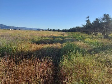 Venta / Terreno Agricola / Ovalle
