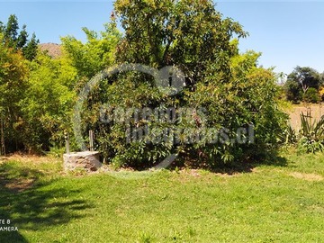 Imagen 12