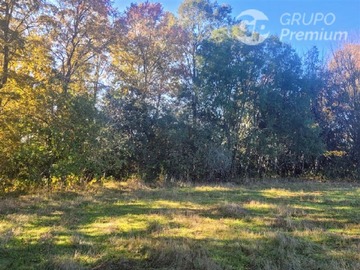 Venta / Terreno Agricola / Padre Las Casas