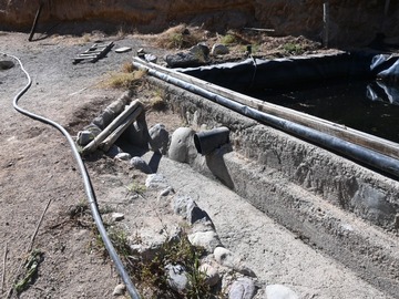 Imagen 6