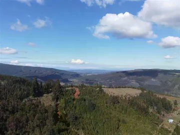 Venta / Terreno Agricola / Paillaco