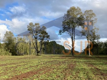 Venta / Terreno Agricola / Paillaco