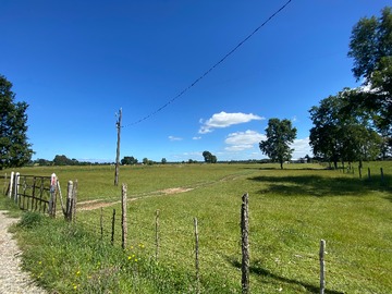 Venta / Terreno Agricola / Paillaco