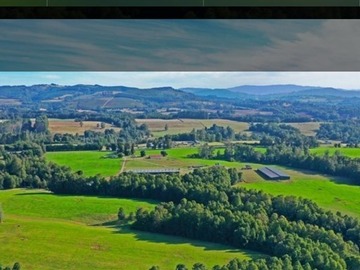 Venta / Terreno Agricola / Paillaco