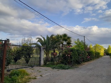 Imagen 23