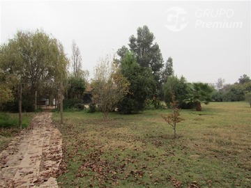 Imagen 6