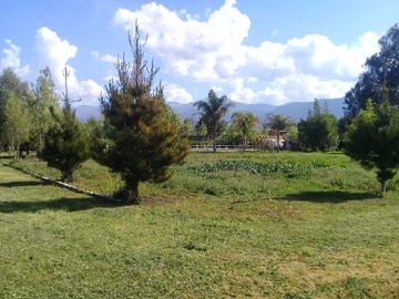Imagen 13