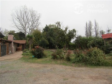 Imagen 26