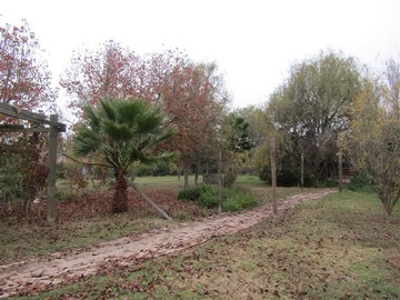 Imagen 9