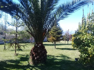 Imagen 20