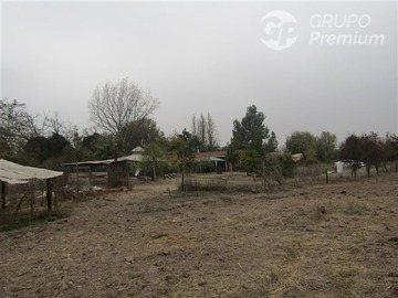 Imagen 23