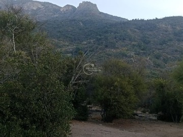 Imagen 5