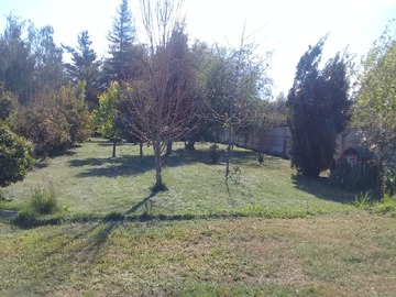 Imagen 19