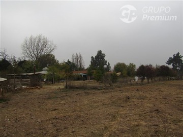 Imagen 22