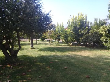 Imagen 18