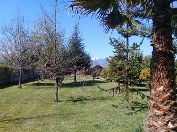 Imagen 17