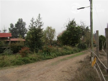 Imagen 28