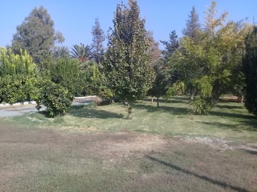 Imagen 21