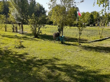 Imagen 11