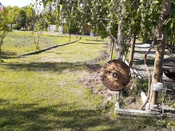 Imagen 15