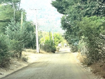 Venta / Terreno Agricola / Paine