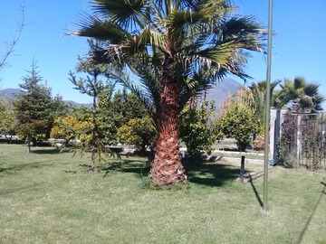 Imagen 9