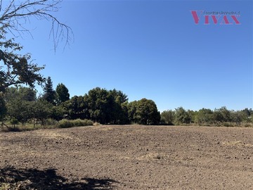 Venta / Terreno Agricola / Paine