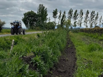 Venta / Terreno Agricola / Palmilla