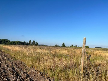 Venta / Terreno Agricola / Palmilla