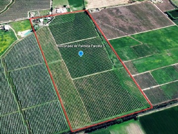 Venta / Terreno Agricola / Palmilla