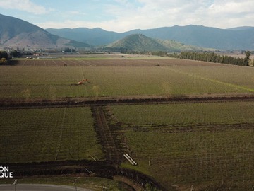 Venta / Terreno Agricola / Palmilla