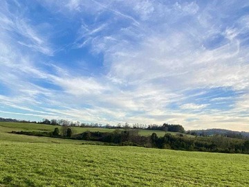 Venta / Terreno Agricola / Panguipulli