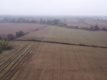 Venta / Terreno Agricola / Parral