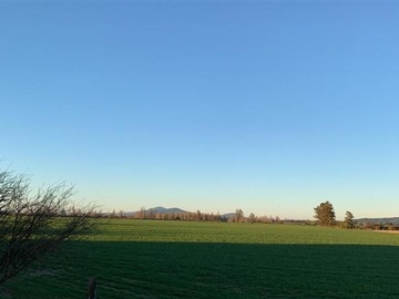 Venta / Terreno Agricola / Parral