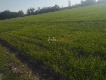 Venta / Terreno Agricola / Parral