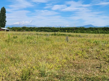 Venta / Terreno Agricola / Parral