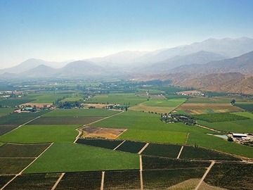 Venta / Terreno Agricola / Parral